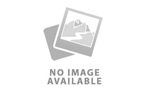 A Week of Appreciation for Veterinary Assistants Staff