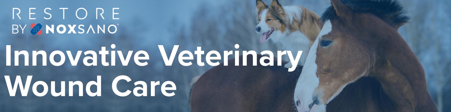 Dog and Horse Banner in Blue