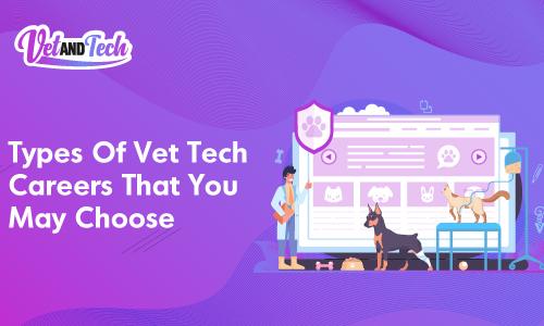 9 Types Of Vet Tech Careers That You May Choose