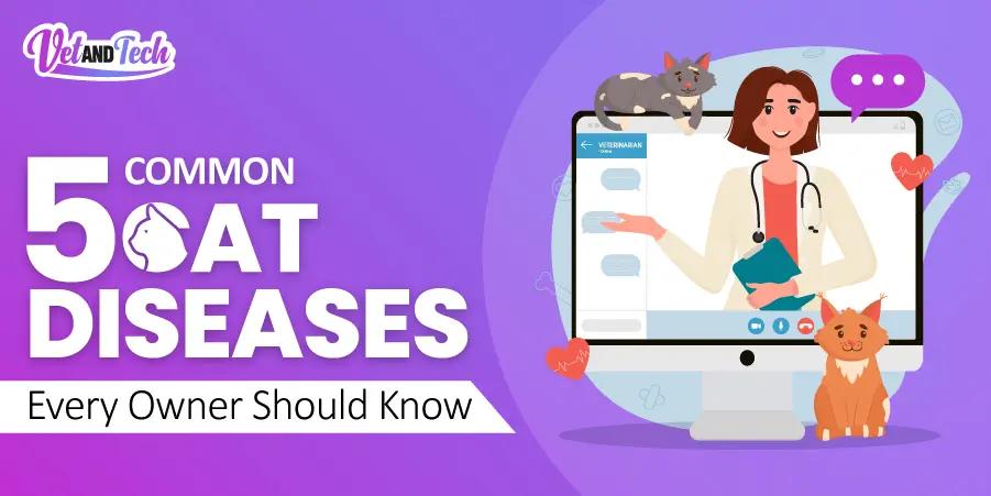 6 Reasons To Give Animal Healthcare A High Priority