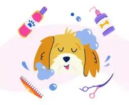 Grooming