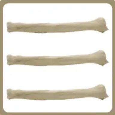 Client and Staff Education