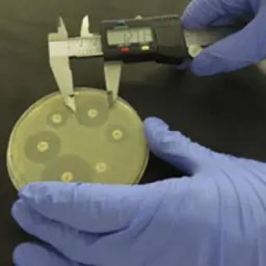 Culture Sensitivity Discs