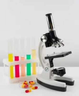 Laboratory Analysis