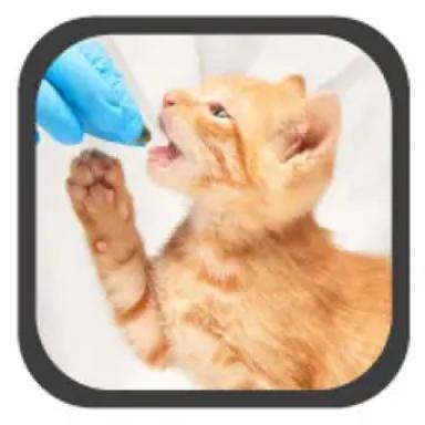 Medication Administration