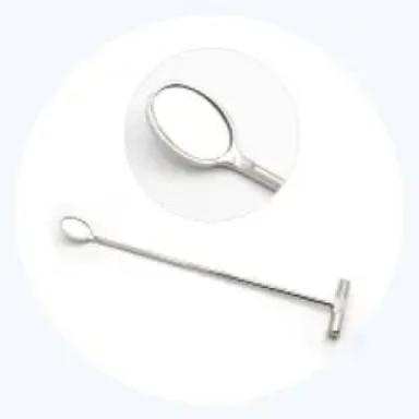 Oral Exam and Cleaning