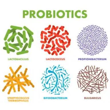 Probiotics