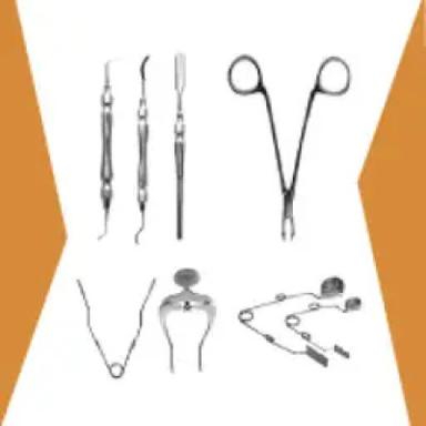 Rabbit and Rodent Dentistry