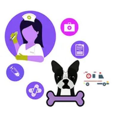 Repair and Support Services