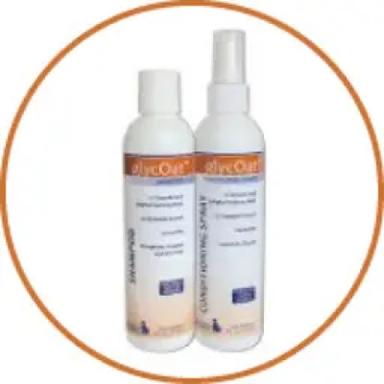 Shampoos and Conditioners