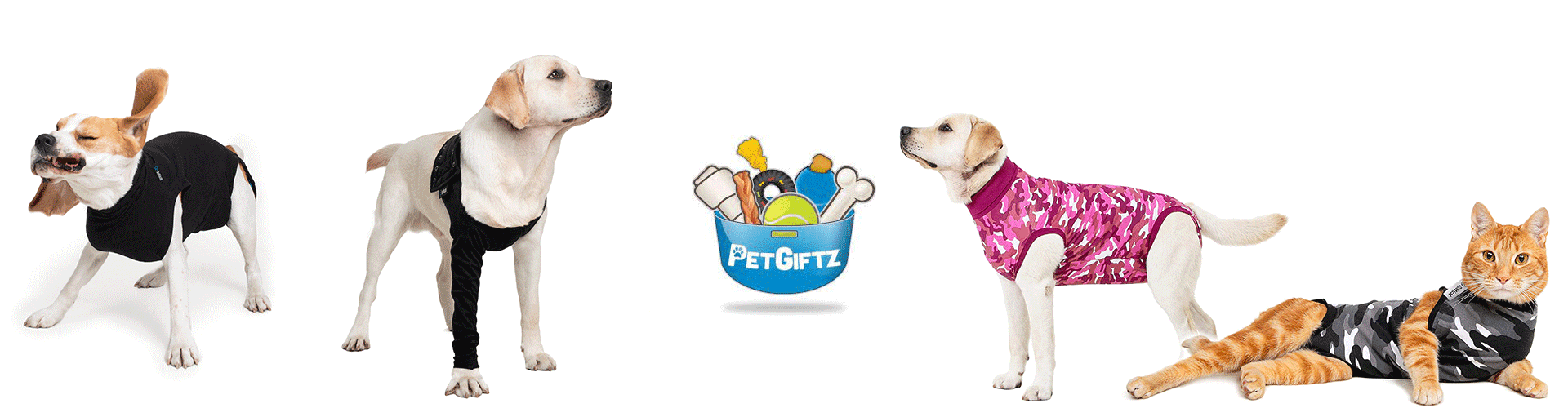 Petgiftz