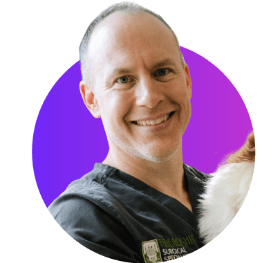 How Early Home Toxicity Treatment Can Make Veterinarians Look Like Heroes in the ER