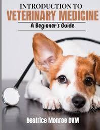 Small Animal Veterinary Care